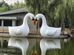 -金城公园
