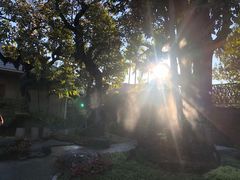 -Chom Cafe and Restaurant