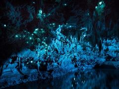 -怀托摩萤火虫洞