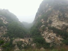 -王顺山国家森林公园