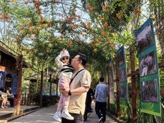 -野象谷景区