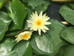 -幕燕滨江·长江观音景区