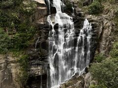 -海南热带雨林国家公园吊罗山景区