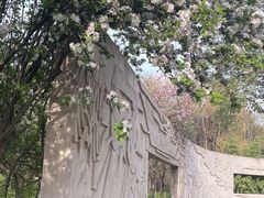 -洛阳市隋唐城遗址植物园