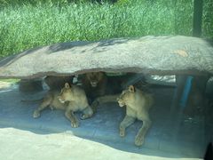 -北京野生动物园