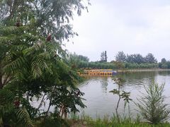 -杨柳青庄园