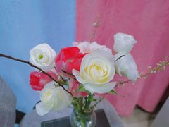 -卓花境Flowerwonderland花店