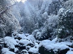 -龙苍沟森林公园
