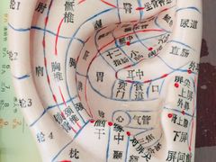 -中国中医科学院望京医院(院本部)