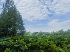 -云龙湖旅游景区