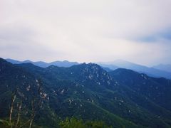 -大岭沟猕猴桃谷风景区