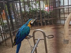 -南宫五洲植物乐园