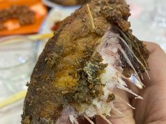 -九多肉多(五味什字店)