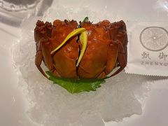 -甄御•海鲜新青岛菜(麦岛店)