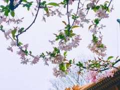 -明故宫遗址公园