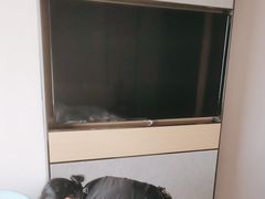 -深圳罗湖水贝IBC亚朵酒店