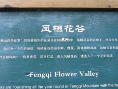 -凤栖山