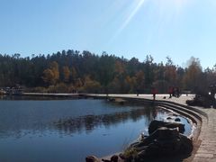 景点-五营红松林海景区