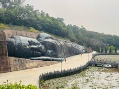 -三水森林公园