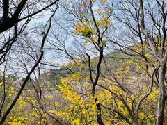 -龙洞风景区-藏龙涧