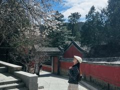 -潭柘寺景区