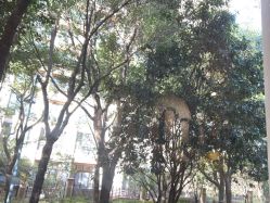 点击看大图 -奈尔宝·儿童乐园·亲子餐厅(星河湾店)
