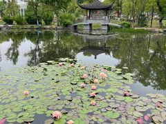 -武汉园博园(武汉自然博物馆)