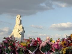 -东钱湖小普陀景区