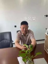 -唐风采假发补发定制
