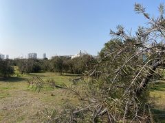 -禅射堂(嘉善越里店)