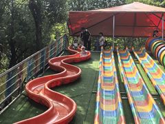 -武汉园博园(武汉自然博物馆)