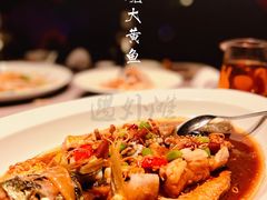 酱油水煮大黄花鱼-遇外滩(BFC外滩金融中心店)