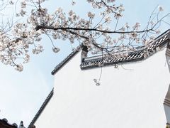 -堤角公园