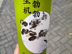 霸气冰淇淋牛油果-奈雪的茶(华侨城创意园店)