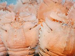 -漢咖啡·全服务式自助晚餐(武汉洲际酒店)