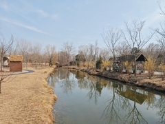 -溱湖国家湿地公园