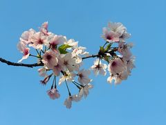 -湘湖金融镇