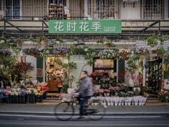 -溪岸路花鸟市场