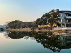 -新江湾城公园