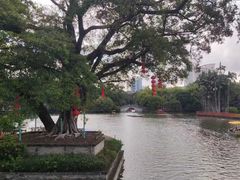 -荔湾湖公园