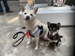 -北京瑜舍