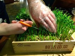 -左庭右院鲜牛肉火锅(南通CBD大有境店)