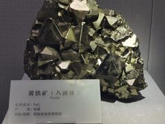 -湖南省地质博物馆