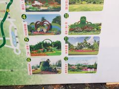 -东平国家森林公园