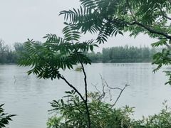 -翠湖国家城市湿地公园