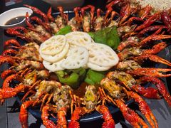 -红盔甲·小龙虾(人民广场店)