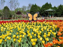 -石家庄市植物园