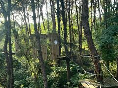 -芦仙山景区-飞越丛林探险乐园