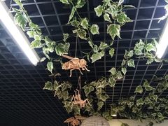 -上海昆虫博物馆