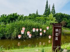 -长田漾湿地公园